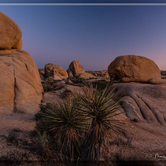 Some Amazing JT sunsets! - Picture 11 of 16